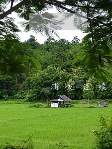 浦发连续逾期10天 浦发连续逾期10天