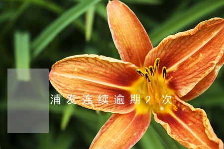 浦发连续逾期2次 浦发连续逾期2次