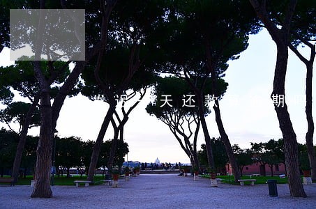 浦发迟一天还款算逾期吗