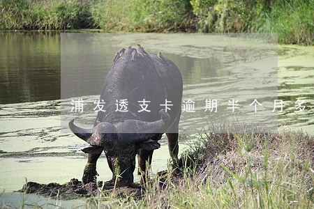 浦发透支卡逾期半个月多少利息
