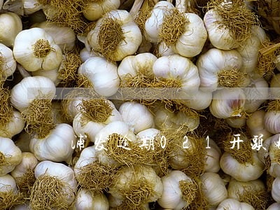 浦发逾期021开头电话一直打