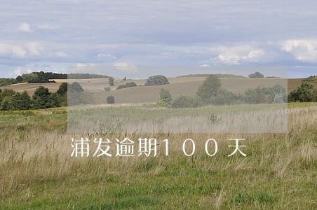 浦发逾期100天 浦发逾期100天