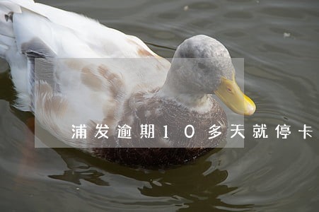 浦发逾期10多天就停卡 浦发逾期10多天就停卡