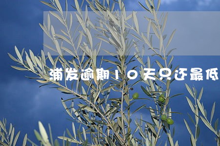 浦发逾期10天只还最低可行吗 浦发逾期10天只还最低可行吗