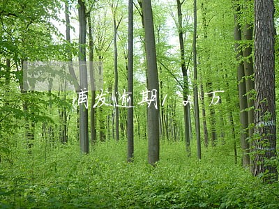 浦发逾期12万 浦发逾期12万