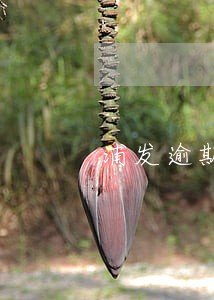 浦发逾期14万 浦发逾期14万