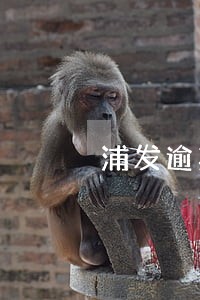 浦发逾期15天会不会停卡 浦发逾期15天会不会停卡