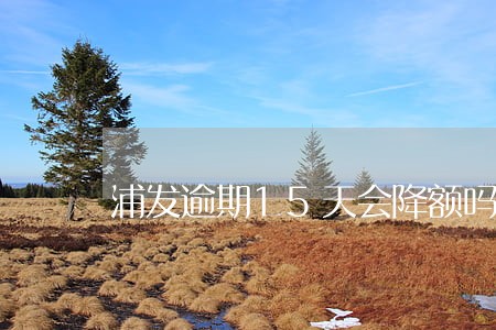 浦发逾期15天会降额吗 浦发逾期15天会降额吗