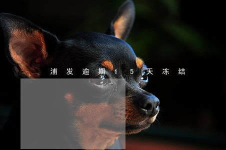 浦发逾期15天冻结 浦发逾期15天冻结