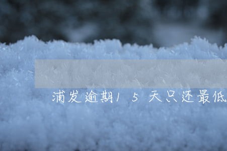 浦发逾期15天只还最低可行吗 浦发逾期15天只还最低可行吗