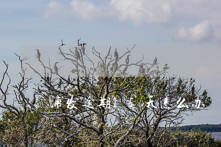 浦发逾期15天怎么办