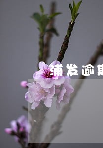 浦发逾期19天还了 浦发逾期19天还了