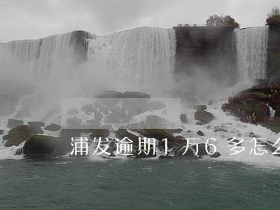 浦发逾期1万6多怎么协商 浦发逾期1万6多怎么协商