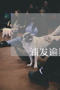 浦发逾期1天让我还全额 浦发逾期1天让我还全额
