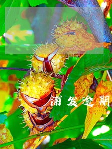 浦发逾期20万 浦发逾期20万
