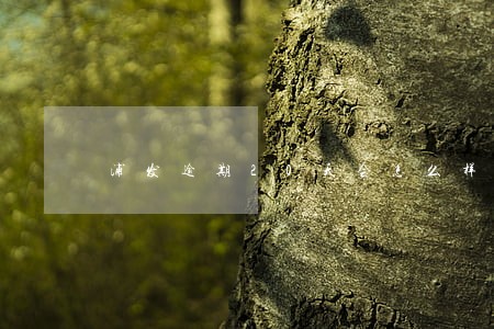 浦发逾期20天会怎么样