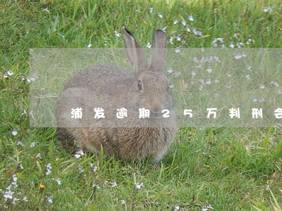 浦发逾期25万判刑会判刑吗 浦发逾期25万判刑会判刑吗