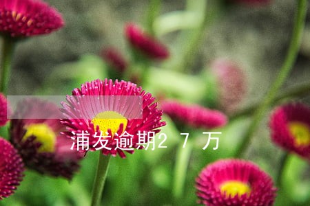 浦发逾期27万 浦发逾期27万