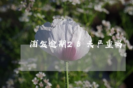 浦发逾期28天严重吗 浦发逾期28天严重吗