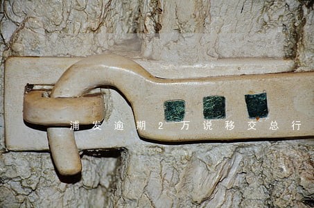 浦发逾期2万说移交总行 浦发逾期2万说移交总行