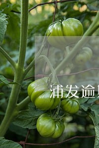 浦发逾期2个半月通知法务 浦发逾期2个半月通知法务