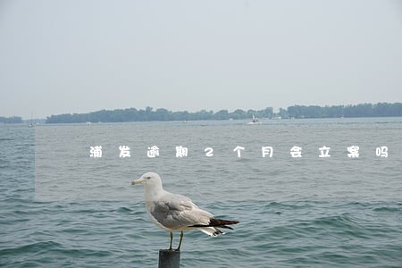 浦发逾期2个月会立案吗