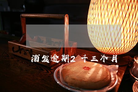 浦发逾期2千三个月 浦发逾期2千三个月