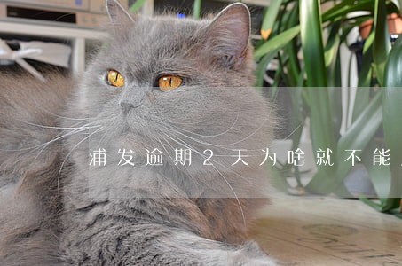 浦发逾期2天为啥就不能用了 浦发逾期2天为啥就不能用了