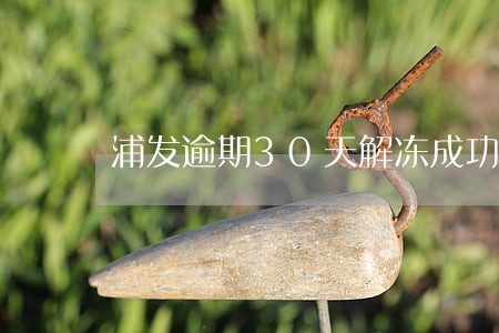 浦发逾期30天解冻成功的 浦发逾期30天解冻成功的