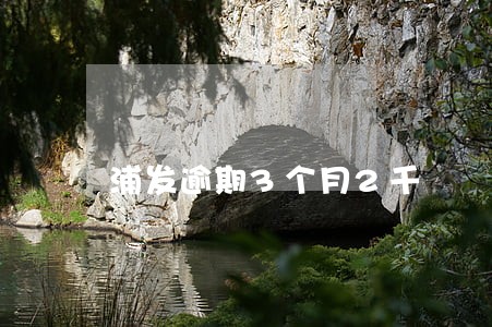 浦发逾期3个月2千 浦发逾期3个月2千