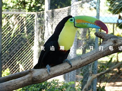 浦发逾期3个月打电话到村书记 浦发逾期3个月打电话到村书记