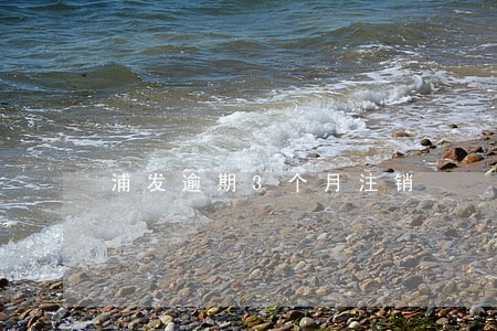 浦发逾期3个月注销 浦发逾期3个月注销