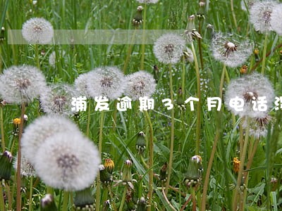 浦发逾期3个月电话没接 浦发逾期3个月电话没接
