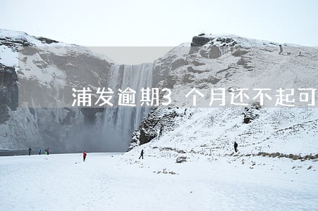 浦发逾期3个月还不起可以分期吗 浦发逾期3个月还不起可以分期吗