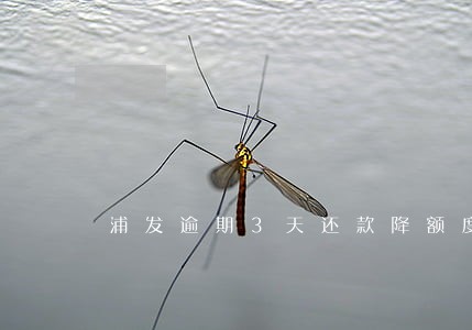 浦发逾期3天还款降额度 浦发逾期3天还款降额度