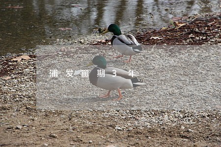 浦发逾期3年 浦发逾期3年