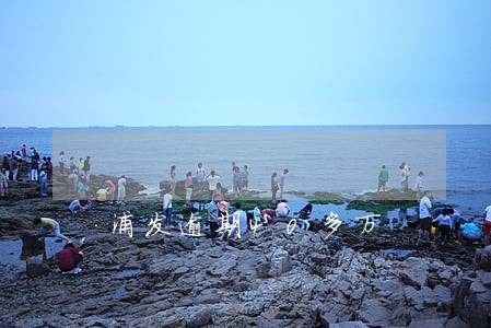 浦发逾期40多万 浦发逾期40多万
