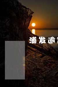 浦发逾期48期 浦发逾期48期