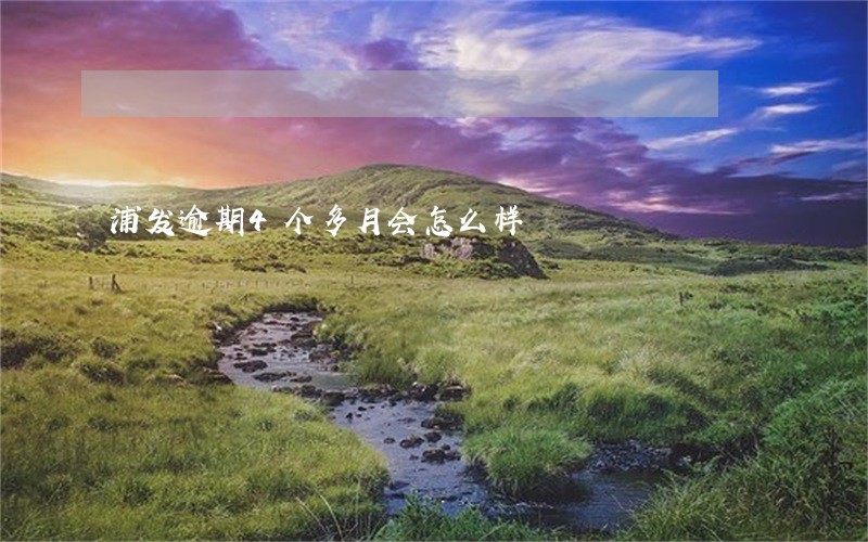 浦发逾期4个多月会怎么样