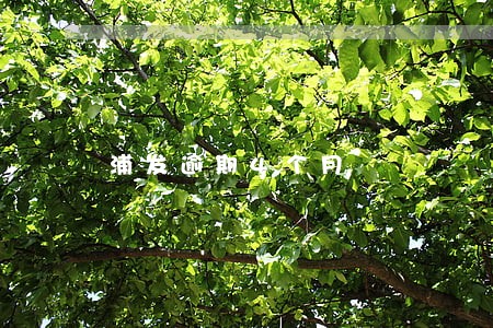 浦发逾期4个月 浦发逾期4个月