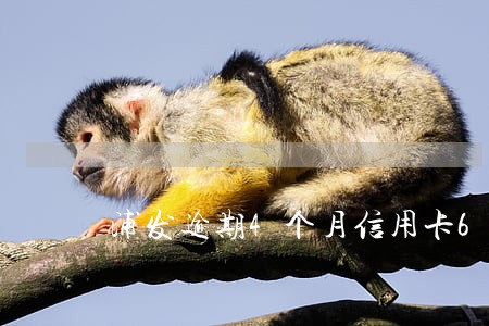 浦发逾期4个月信用卡6万 浦发逾期4个月信用卡6万