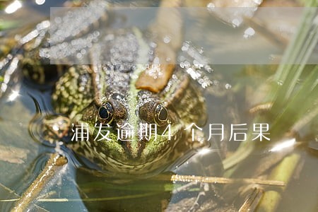 浦发逾期4个月后果 浦发逾期4个月后果