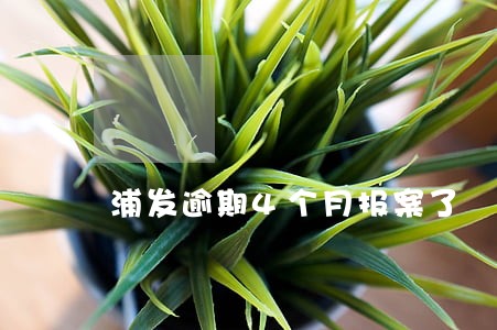 浦发逾期4个月报案了 浦发逾期4个月报案了