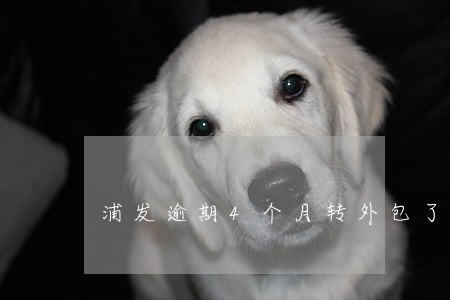 浦发逾期4个月转外包了 浦发逾期4个月转外包了