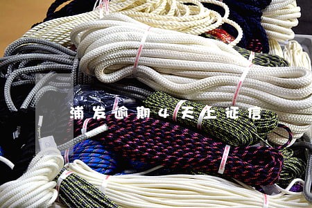 浦发逾期4天上征信 浦发逾期4天上征信