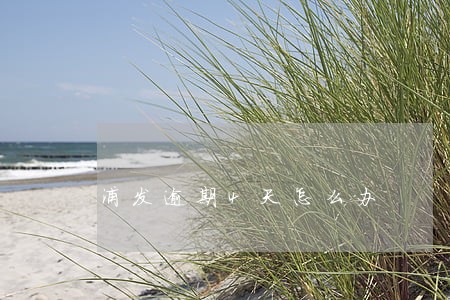 浦发逾期4天怎么办 浦发逾期4天怎么办