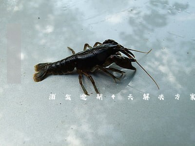 浦发逾期4天解决方案上海 浦发逾期4天解决方案上海
