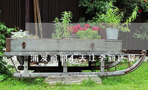 浦发逾期4天让全额还款 浦发逾期4天让全额还款