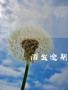 浦发逾期4天还最低