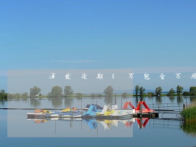 浦发逾期5万包含万用金
